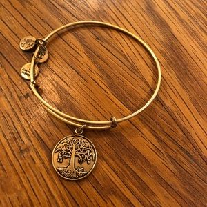 Alex and Ani Tree of Life bracelet